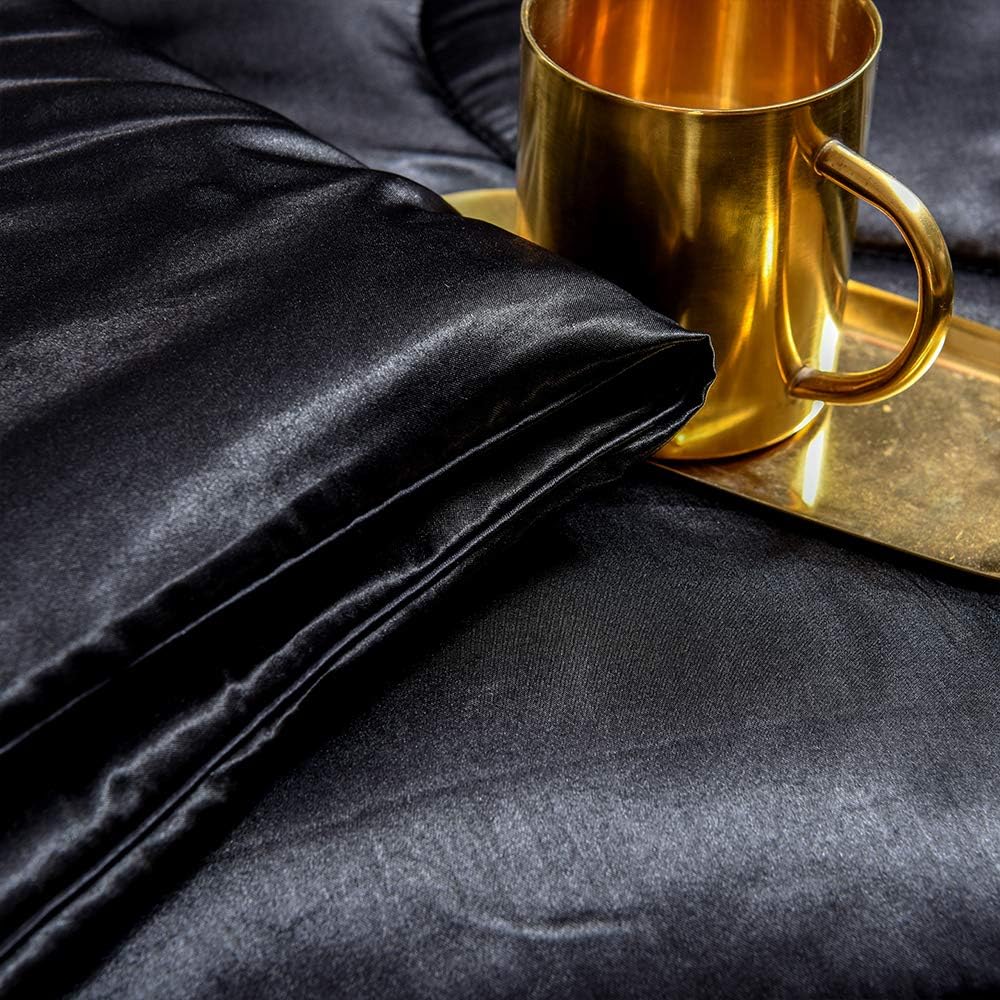 Sisher Satin Comforter Set Queen Size, Black Silk Bedding Set with 2 Pillowcases, Luxury Comforter Bed Sets for Man Woman