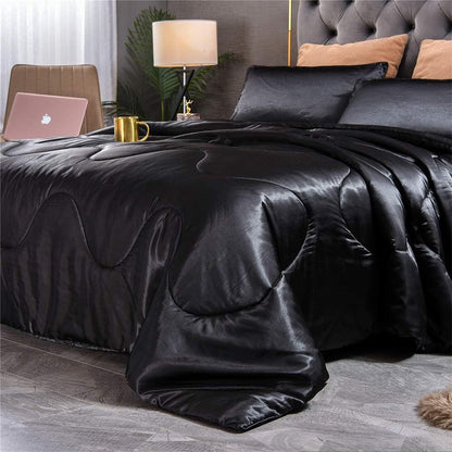 Sisher Satin Comforter Set Queen Size, Black Silk Bedding Set with 2 Pillowcases, Luxury Comforter Bed Sets for Man Woman