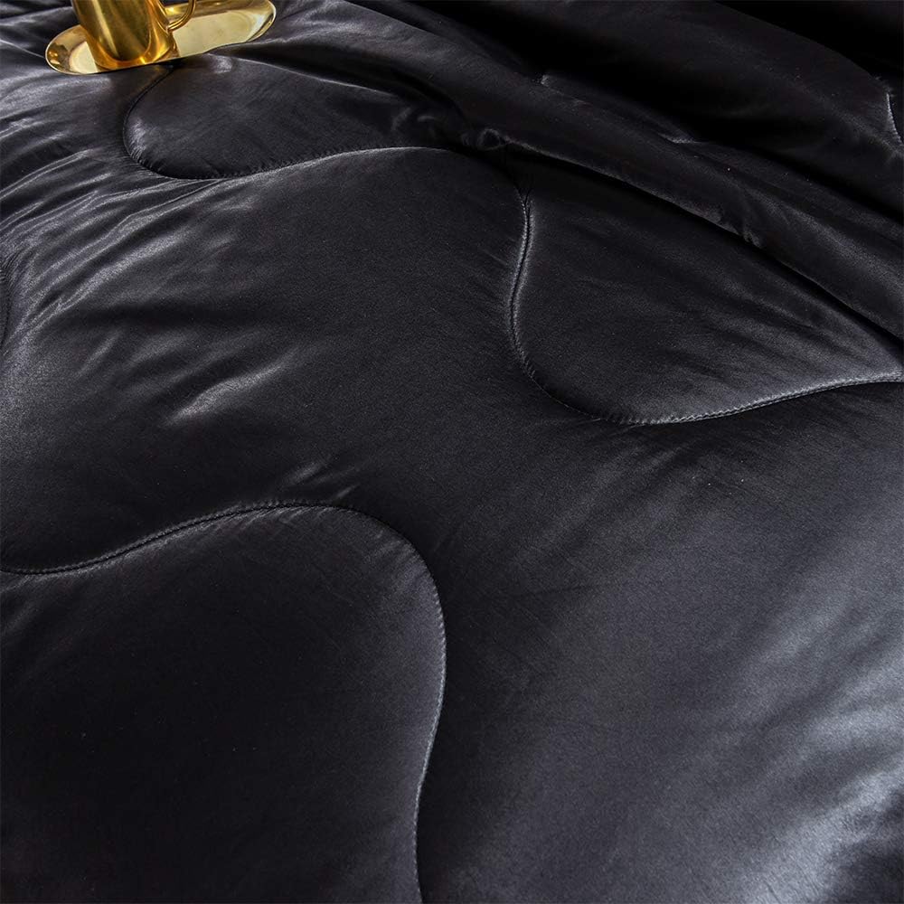 Sisher Satin Comforter Set Queen Size, Black Silk Bedding Set with 2 Pillowcases, Luxury Comforter Bed Sets for Man Woman