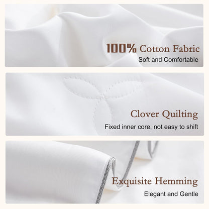 YOUR MOON Pure Mulberry Silk Comforter Queen Size for All Season,100% Natural Long Strand Silk Fill Duvet, Luxury Bedding, Noiseless Cotton Shell (White)