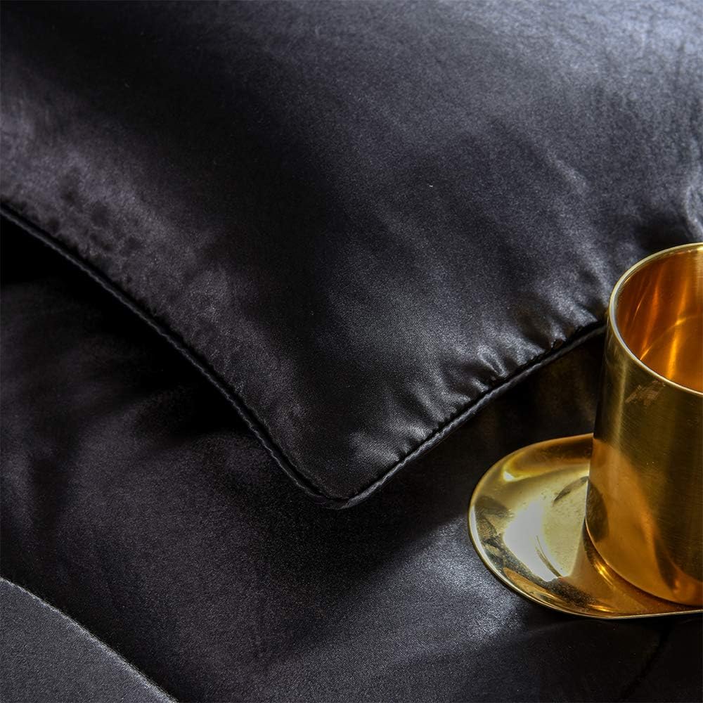 Sisher Satin Comforter Set Queen Size, Black Silk Bedding Set with 2 Pillowcases, Luxury Comforter Bed Sets for Man Woman